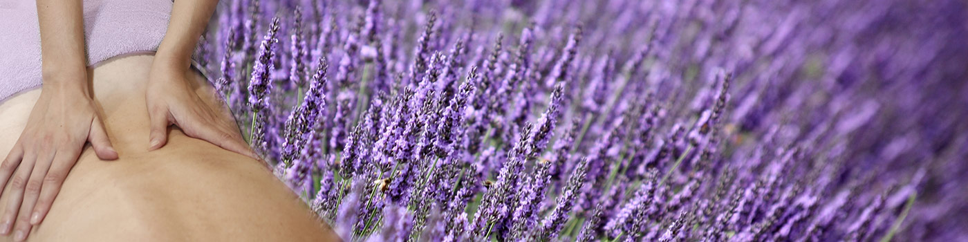 T&eacute;cnicas complementarias de fisioterapia en Castell&oacute;n, reiki, masaje metam&oacute;rfico, flores de back