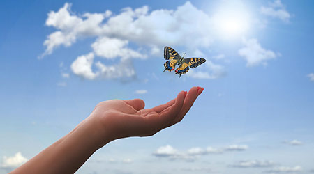 Técnicas complementarias Castellón,  técnica metamórfica o masaje metamórfico, sesiones Reiki Castellón,  bienestar interior Castellón 